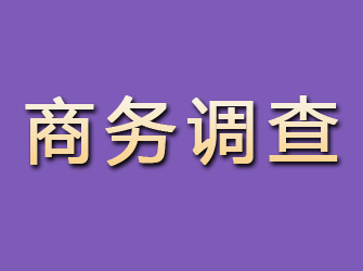 湘西商务调查